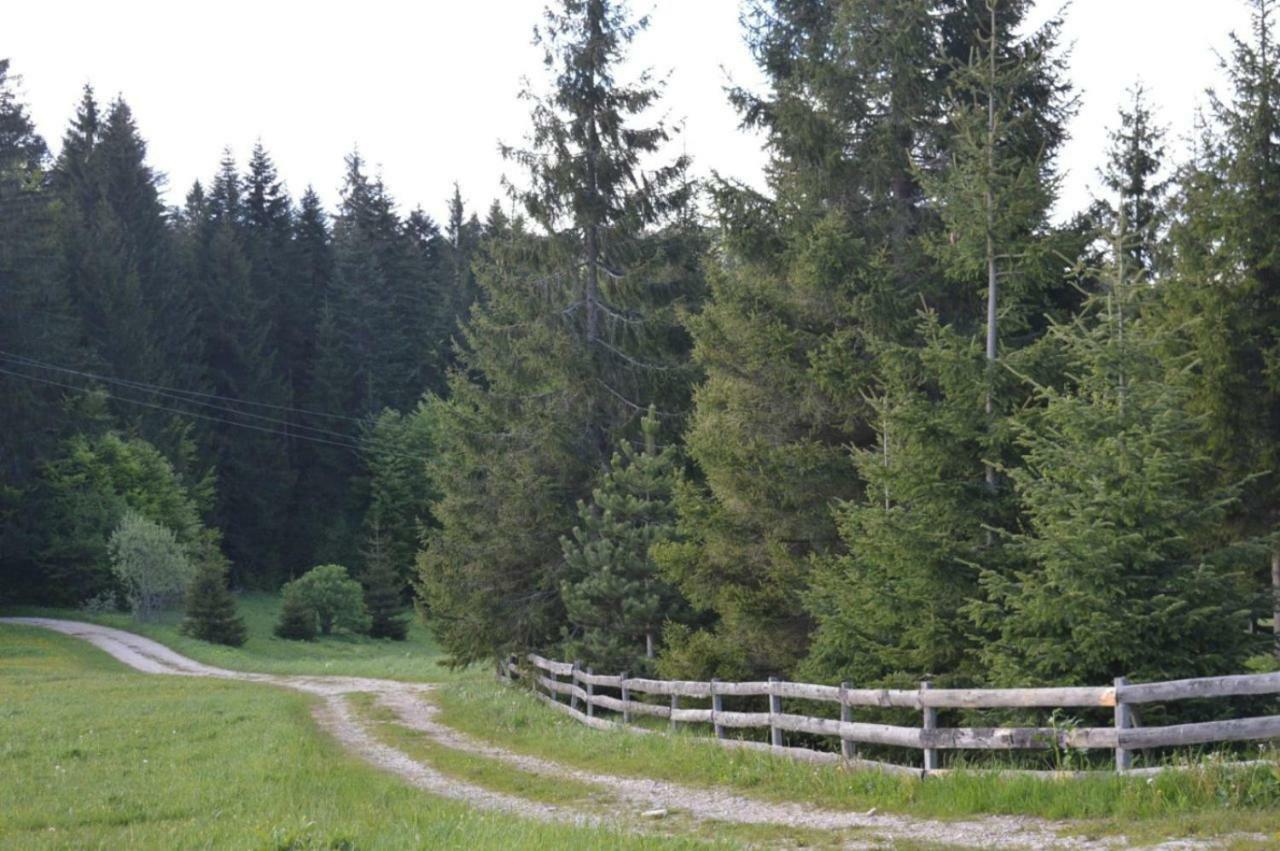 Mystic Forest Hostel Mitrovac Luaran gambar