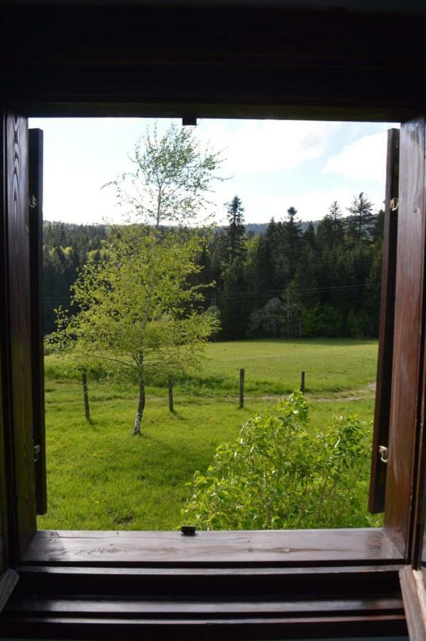 Mystic Forest Hostel Mitrovac Luaran gambar