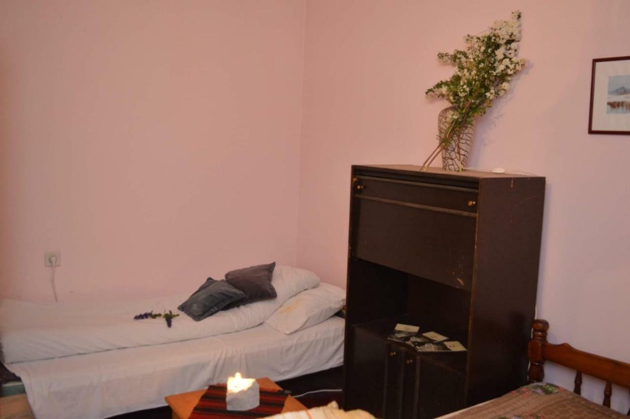 Mystic Forest Hostel Mitrovac Luaran gambar