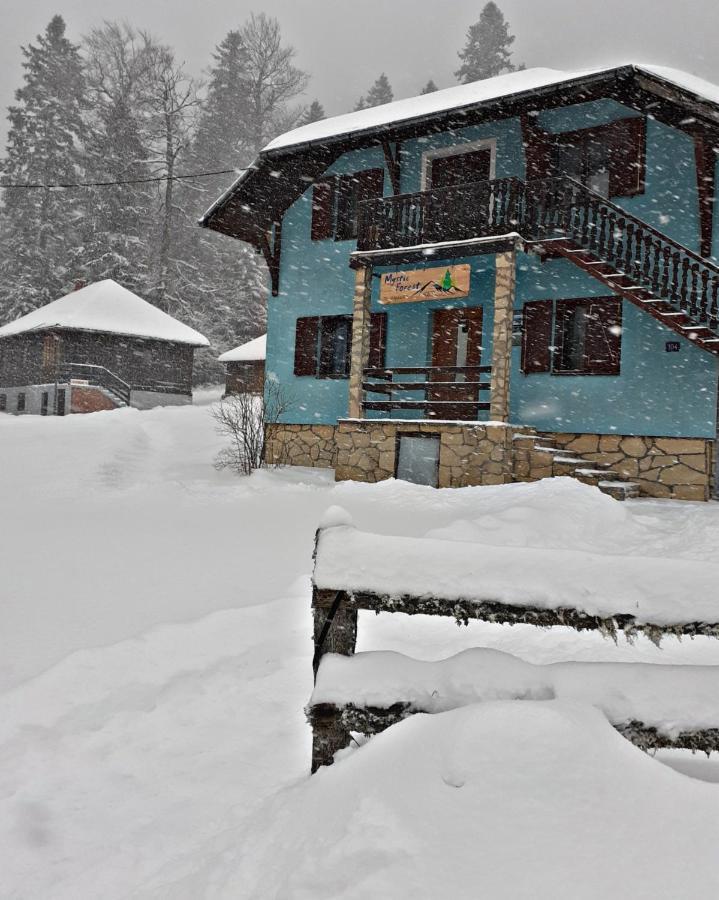 Mystic Forest Hostel Mitrovac Luaran gambar